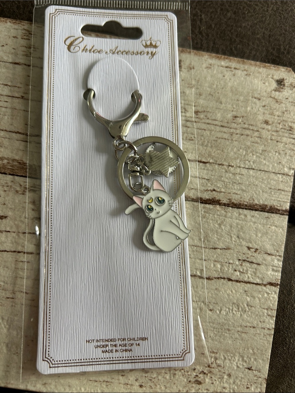 🔥$2 Silver Cat Charm Keychain with White Enamel Cat